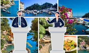 politicieni in vacante png