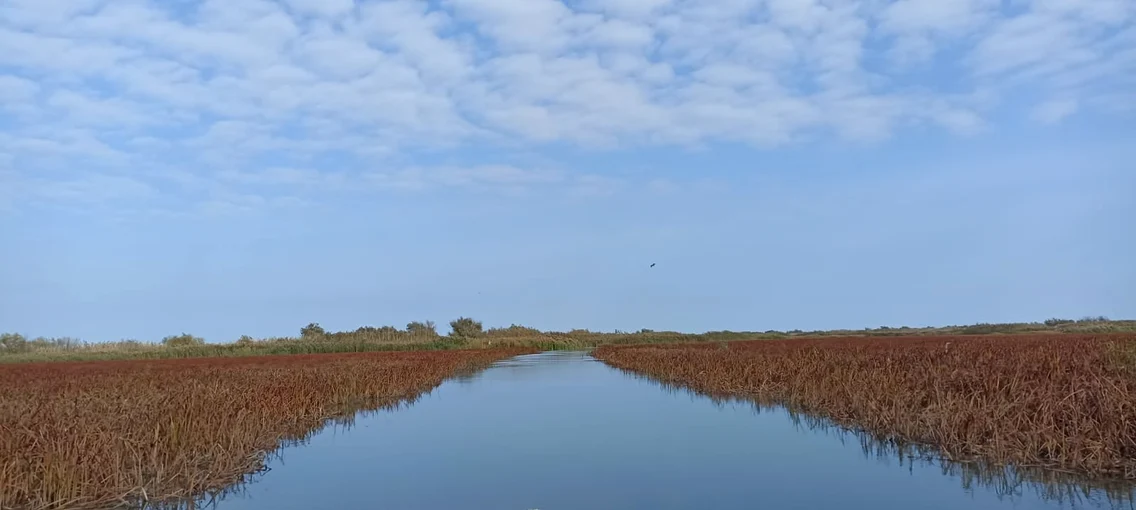 Delta Dunării FOTO ARBDD jpg