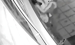 11 special foto6 85 90 jpeg