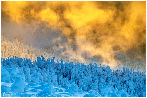 Muntii Apuseni Foto Marius Turc (27) jpg