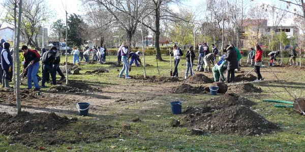 Elevii de generală vor avea proprii pomi fructiferi