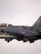 oohajo f16 7889288 jpg