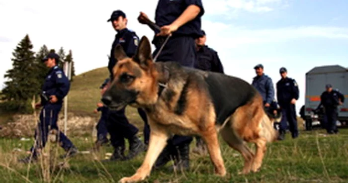 Târgu-Jiu: Căutările continuă prin pădurile de la Rânca