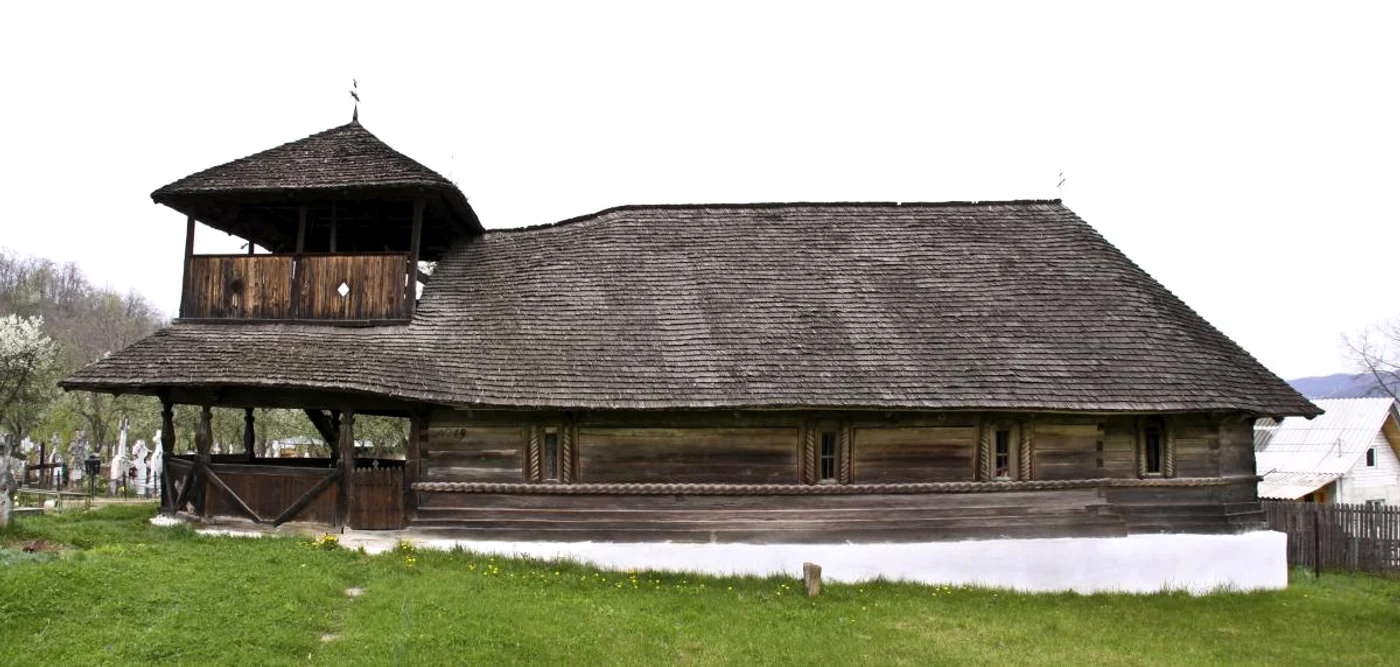 Jupanesti AG bislemn S jpg jpeg