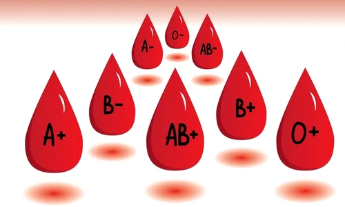 1 78179 original jpg jpeg