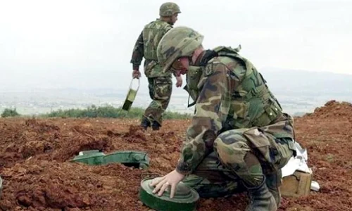 Un întreg arsenal de mine antipersonal sovietice au fost găsite în Germania jpeg