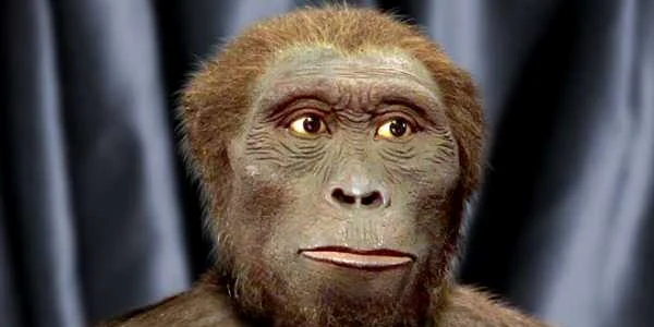 orrorin tugenensis