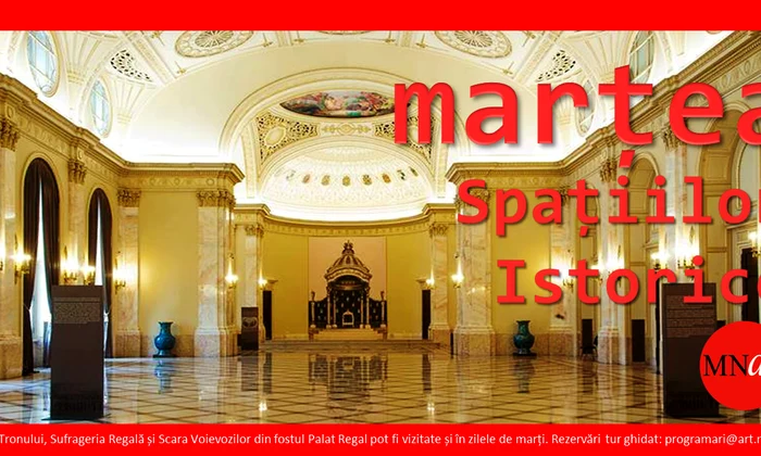 Mai multe posibilități de vizitare a spațiilor istorice din fostul Palat Regal! png