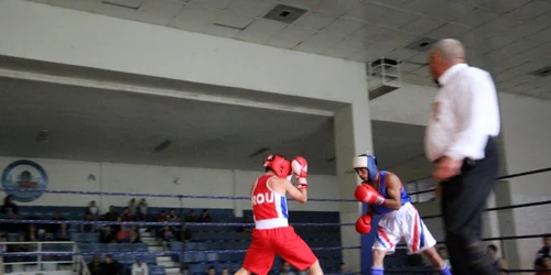 Box în Hunedoara 31 mai 2014. FOTO