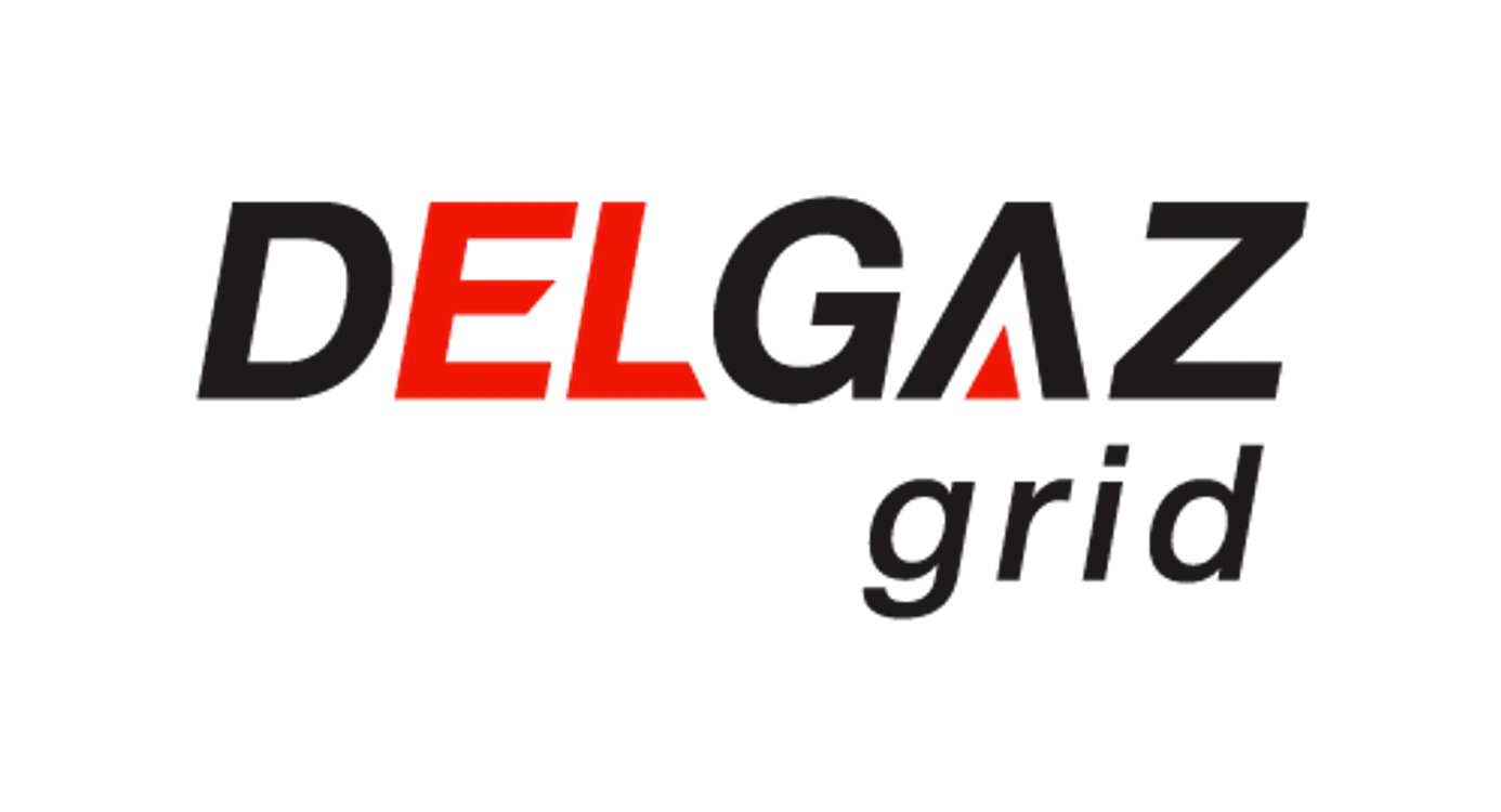 Logo Delgaz grid positive web png
