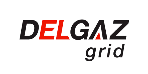 Logo Delgaz grid positive web png