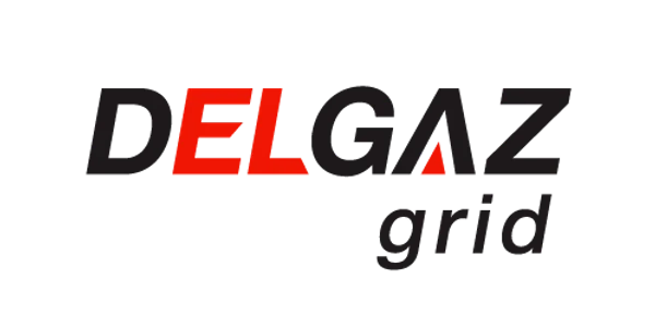 Logo Delgaz grid positive web png