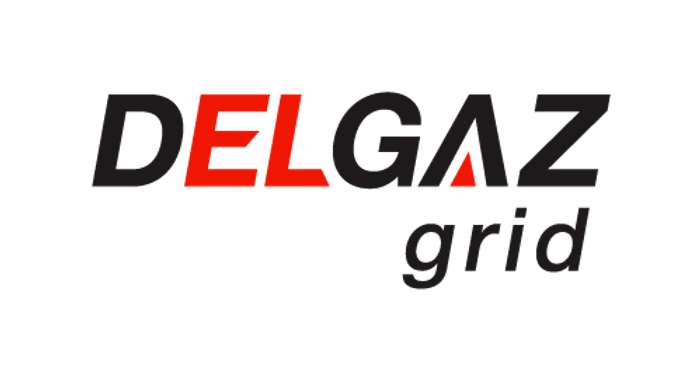 Logo Delgaz grid positive web png