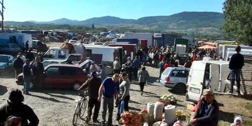 razie in oborul vicovu de sus. foto