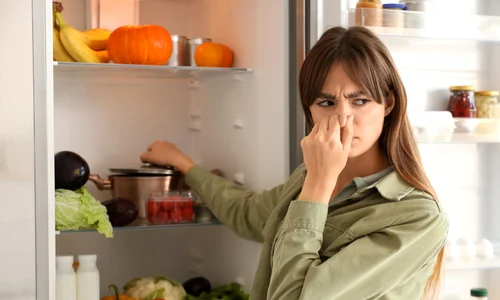 shutterstock 2559493401 jpg