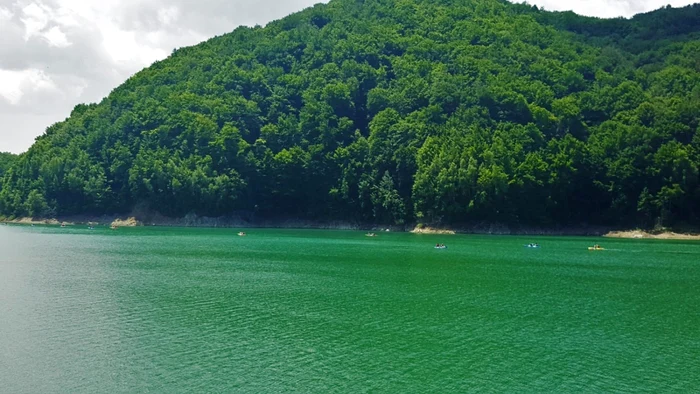 lacul paltinu foto trivo.ro