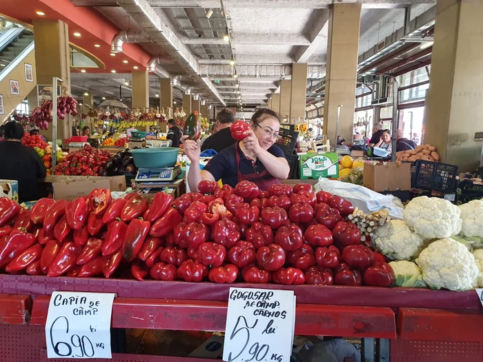 Ana se mândrește  cu gogoșarii uriași aduși din Călărași