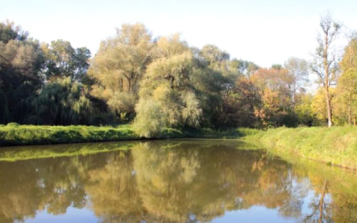 Cele două iazuri din parc sunt unite printr-un braţ