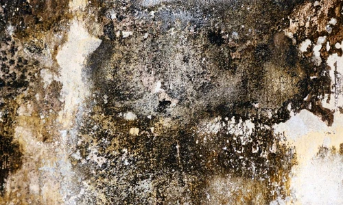 1 69354 original jpg jpeg