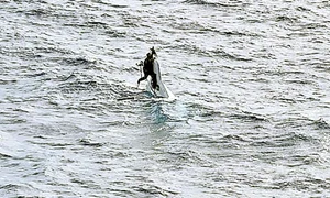 x 24 6 4064b744 21ff 45e7 9a9e 7ab8371318f6 jpeg