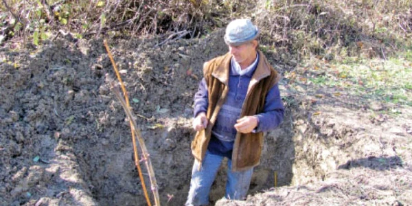 Vecinii au aprins lumânări în locul unde a fost găsită Elena