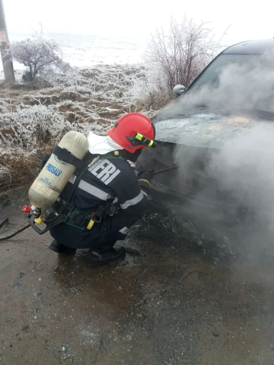 Pompier stingând flăcările  FOTO: ISU Teleorman