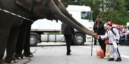 Artistii Circului Globus au defilat alături de animalele circului