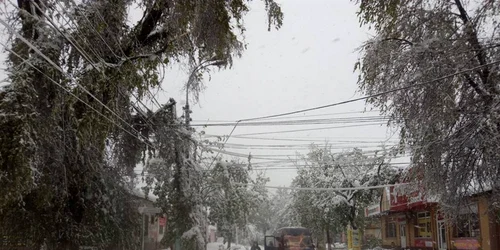 ninsori chisinau foto victor ciobanu via facebook