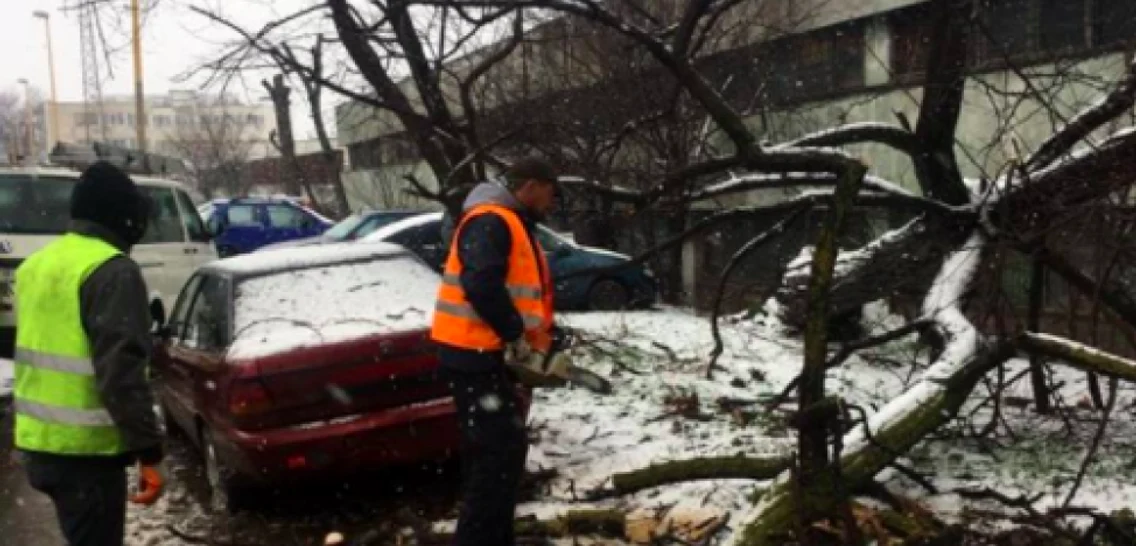 Ravagii viscol vânt furtună ninsoare Constanţa Sursa Facebook Primăria Constanţa