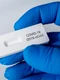 test rapid covid 