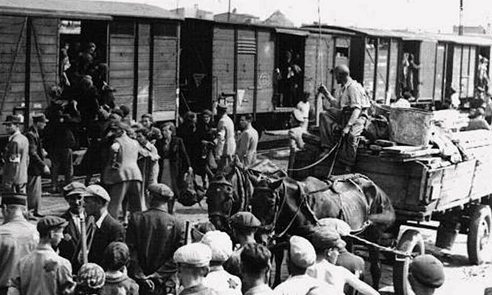 Deportările în Siberia din statele baltice   o poveste uitată jpeg