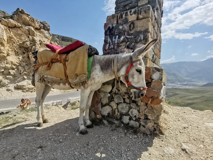 Azerbaidjanul tradițional FOTO Ștefan Both