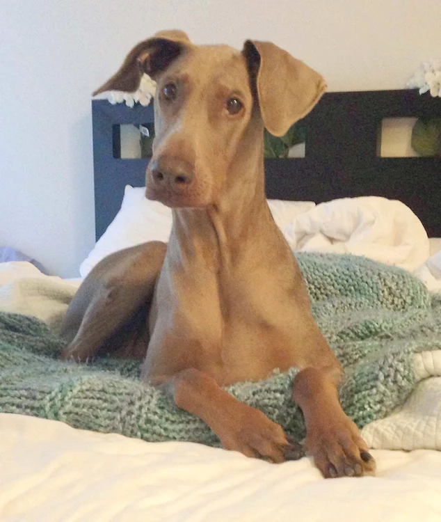 
    Asta au găsit în burta ei  