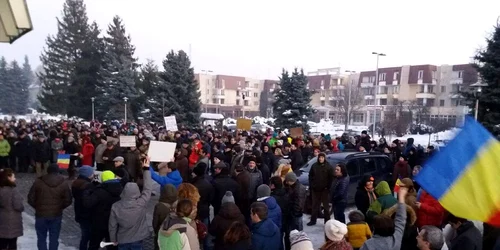 protest baia mare