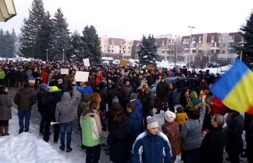 protest baia mare