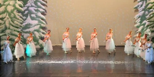 Teatrul de Balet