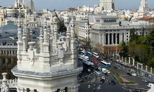 falco madrid 327979 1920 jpg