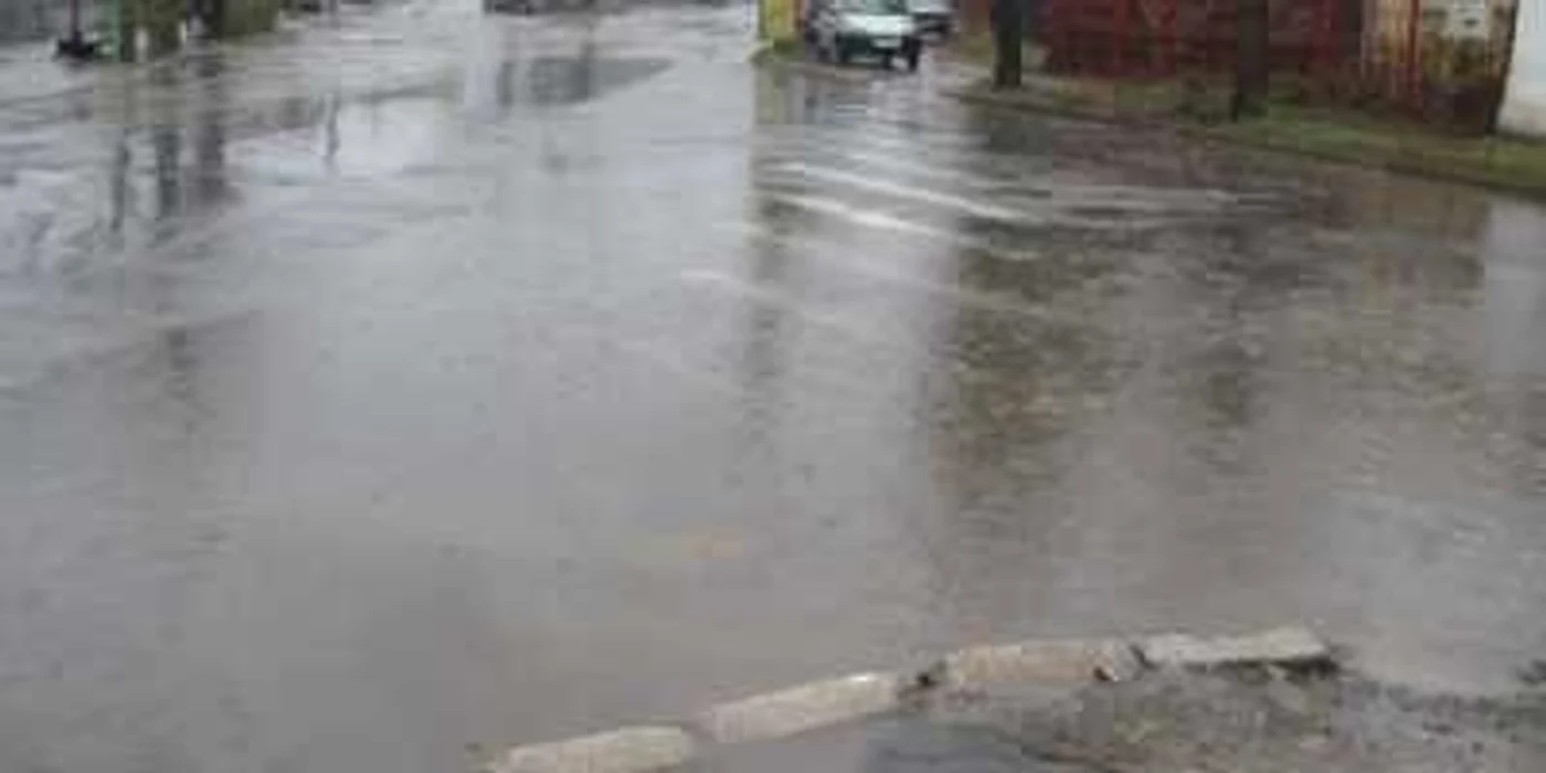 Bălţile dau tonul plimbării pe Siloz