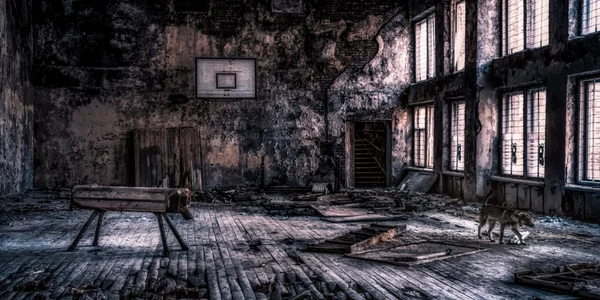Imagini spectaculoase în infraroşu din Cernobil FOTO Photoland Catersnews  Vladimir Migutin