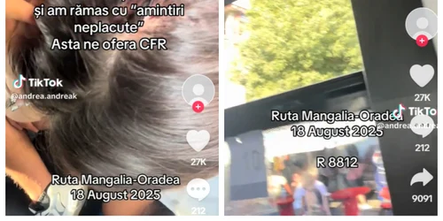 Cioburi căzute în capul unei pasagere cfr