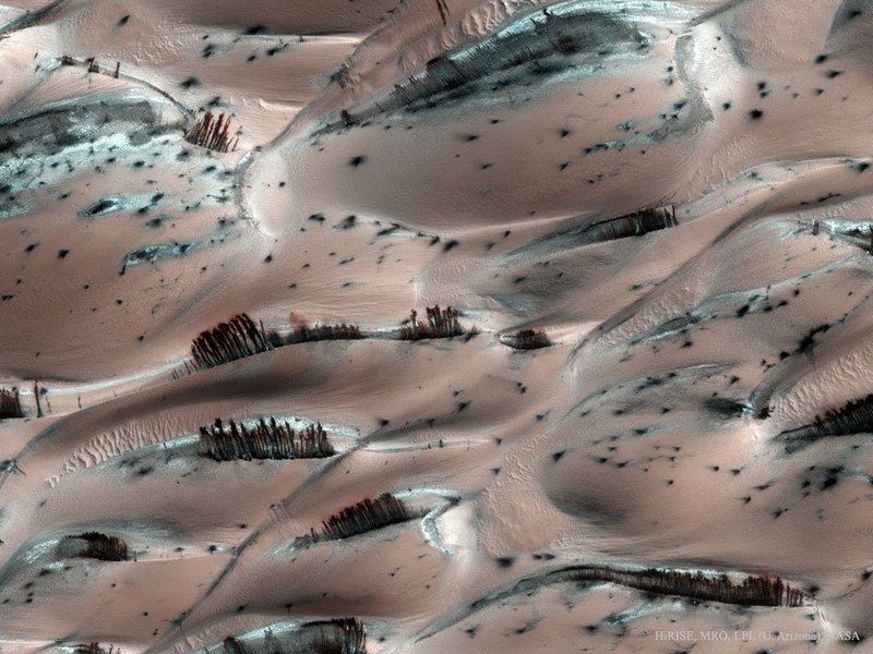NASA a publicat o fotografie cu o scenă bizară cu „copacii” de pe Marte. Care este explicația fenomenului
