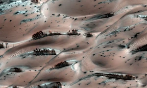dune de nisip copaci pe marte NASA foto X jpg
