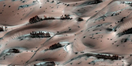 dune de nisip copaci pe marte NASA foto X jpg