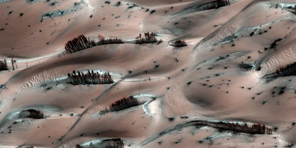 dune de nisip copaci pe marte NASA foto X jpg
