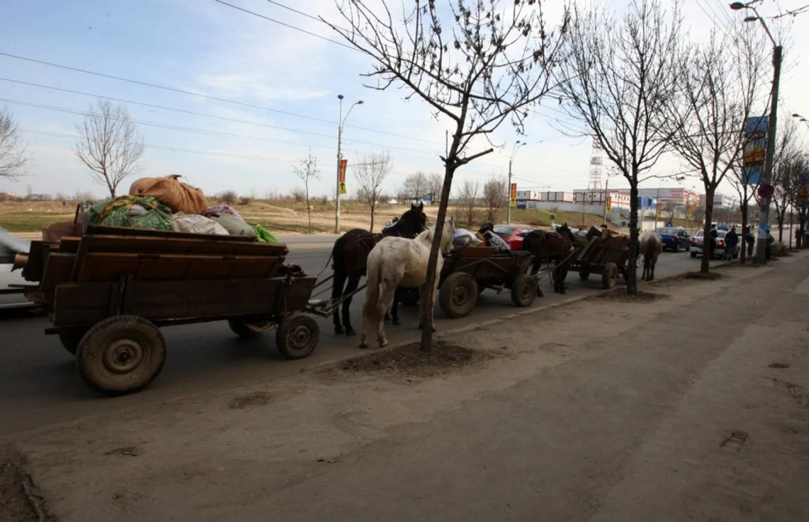 Căruţe surprinse în trafic în oraş FOTO Adevărul