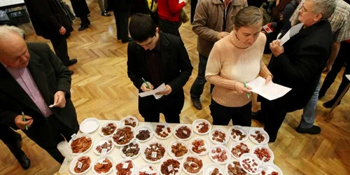 Juriul are o misiune dificilă în alegerea câştigătorilor