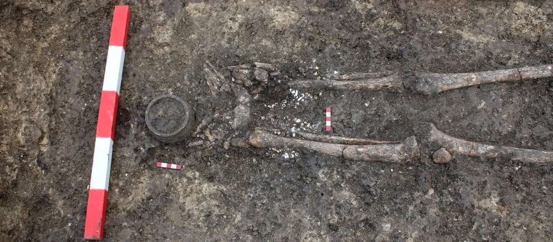 Descoperiri arheologice într-o necropolă sarmatică din Timișoara (© Direcția Județeană de Cultură Timiș)