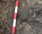 Descoperiri arheologice într-o necropolă sarmatică din Timișoara (© Direcția Județeană de Cultură Timiș)