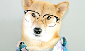 22 foto1 6col 210 profimedia 0164638952 jpeg