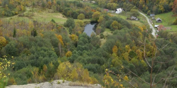 tau rosia montana